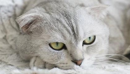 九游电脑版下载-赛季开局遭遇两场惨败 勇士的新赛季比想象中更难