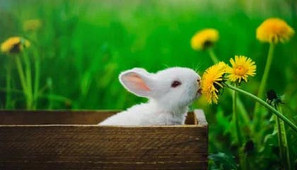 九游电脑版-女足U16少打一人！吴逸羲争抢中踢到对手被罚下，墨西哥随后扳平